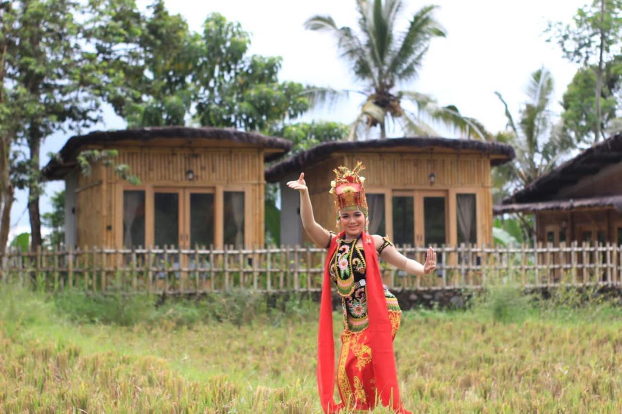 Sawah Ijen Hotel Licin Bagian luar foto
