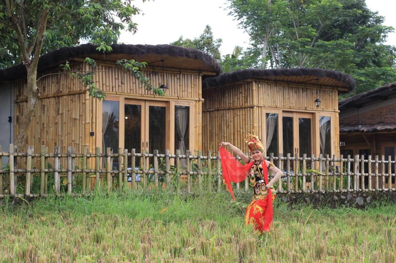 Sawah Ijen Hotel Licin Bagian luar foto