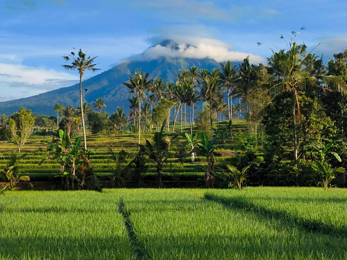 Sawah Ijen Hotel Licin Bagian luar foto