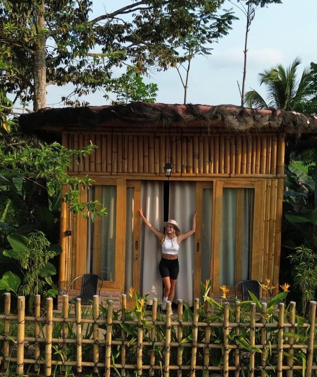 Sawah Ijen Hotel Licin Bagian luar foto