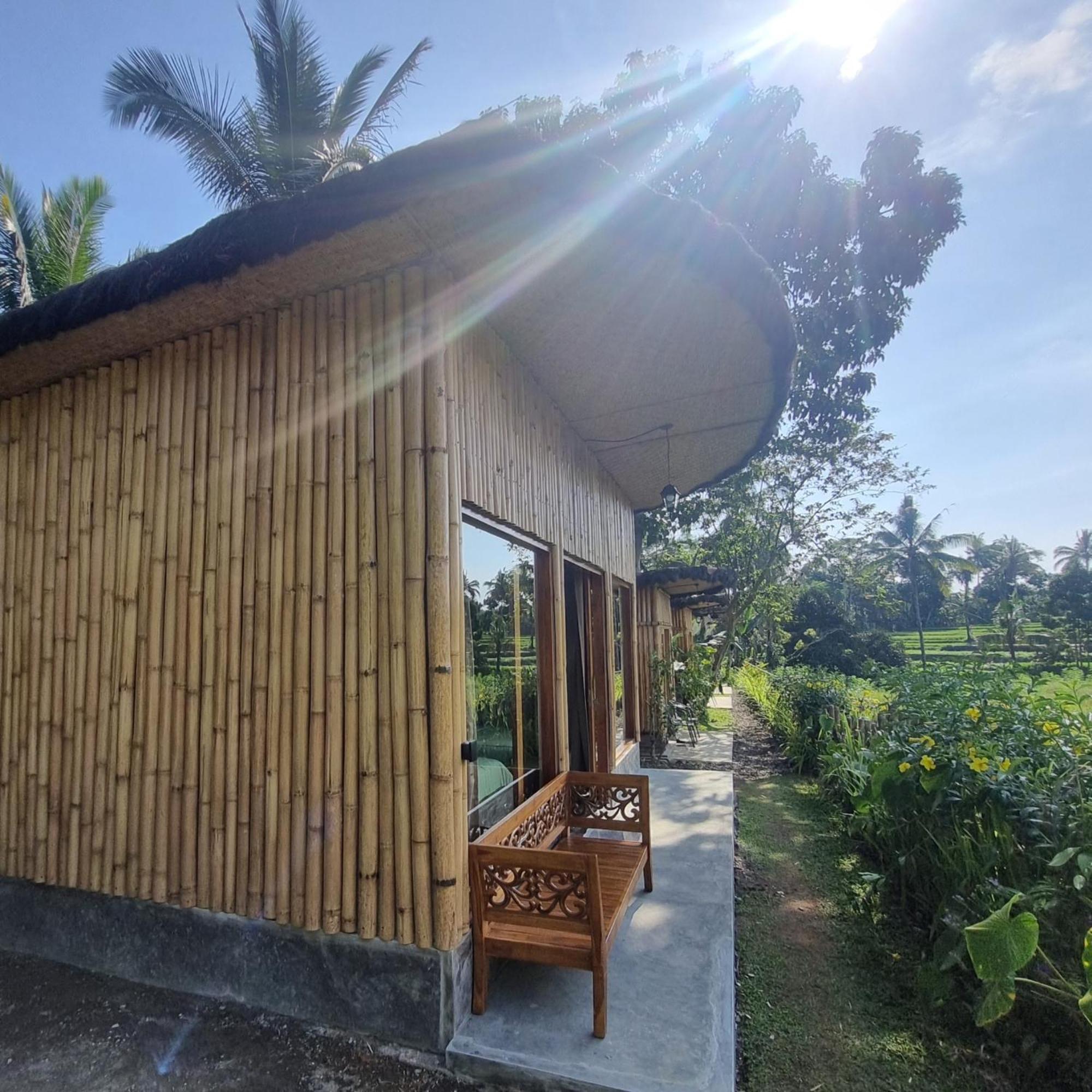 Sawah Ijen Hotel Licin Bagian luar foto
