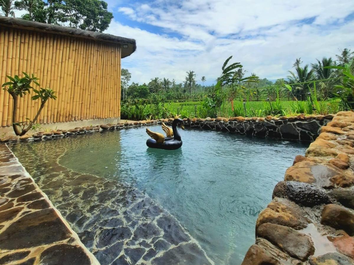 Sawah Ijen Hotel Licin Bagian luar foto