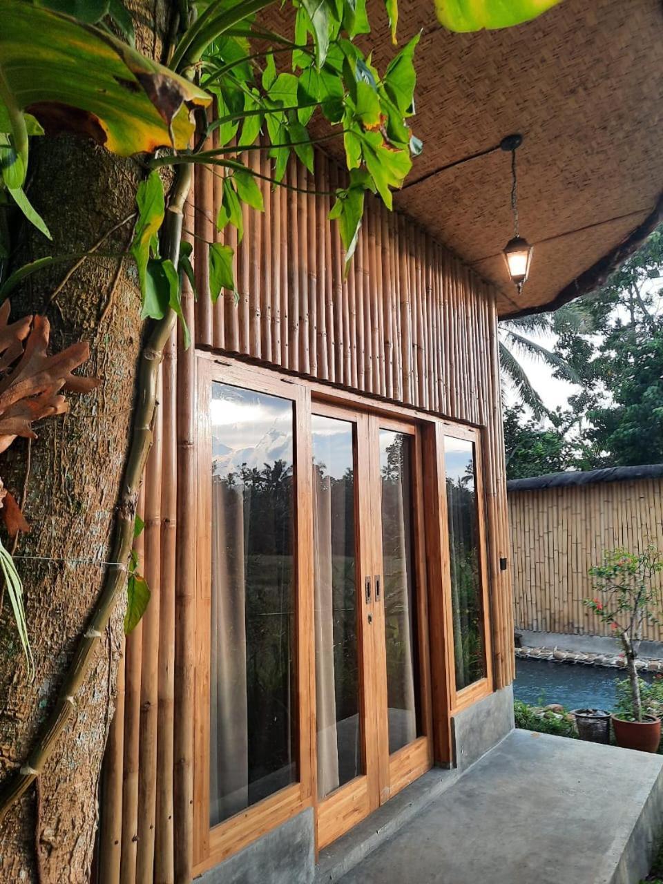Sawah Ijen Hotel Licin Bagian luar foto